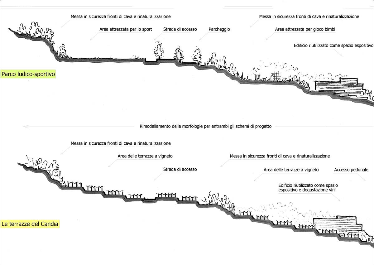 Layout1